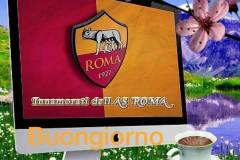 Ave-Roma